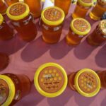 VII Świętokrzyskie Święto Pszczoły / Włodzimierz Batóg / Radio Kielce