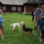 Dzień Świętego Franciszka w Tokarni (17 sierpnia 2014 r.) / Kamil Król / Radio Kielce