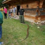 Dzień Świętego Franciszka w Tokarni (17 sierpnia 2014 r.) / Kamil Król / Radio Kielce