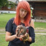 Dzień Świętego Franciszka w Tokarni (17 sierpnia 2014 r.) / Kamil Król / Radio Kielce