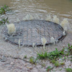 Nawałnica w Radlinie / arch. prywatne