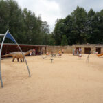 Świętokrzyskie na fali - Bałtów. / Ewa Kiślak / Radio Kielce