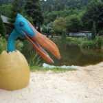 Świętokrzyskie na fali - Bałtów. / Ewa Kiślak / Radio Kielce