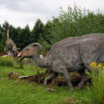 Świętokrzyskie na fali - Bałtów. / Ewa Kiślak / Radio Kielce