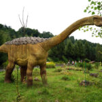 Świętokrzyskie na fali - Bałtów. / Ewa Kiślak / Radio Kielce