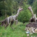 Świętokrzyskie na fali - Bałtów. / Ewa Kiślak / Radio Kielce