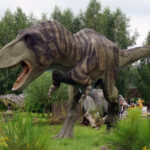 Świętokrzyskie na fali - Bałtów. / Ewa Kiślak / Radio Kielce