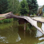 Świętokrzyskie na fali - Bałtów. / Ewa Kiślak / Radio Kielce