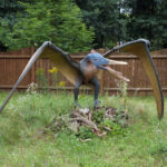 Świętokrzyskie na fali - Bałtów. / Ewa Kiślak / Radio Kielce