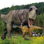 Świętokrzyskie na fali - Bałtów. / Ewa Kiślak / Radio Kielce