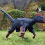 Świętokrzyskie na fali - Bałtów. / Ewa Kiślak / Radio Kielce