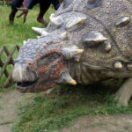 Świętokrzyskie na fali - Bałtów. / Ewa Kiślak / Radio Kielce