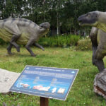 Świętokrzyskie na fali - Bałtów. / Ewa Kiślak / Radio Kielce