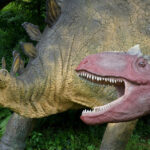 Świętokrzyskie na fali - Bałtów. / Ewa Kiślak / Radio Kielce