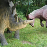 Świętokrzyskie na fali - Bałtów. / Ewa Kiślak / Radio Kielce