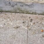 Plamy na Kielcki rynku i ulicy Warszawskiej / Stanisław Blinstrub / Radio Kielce