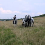 Projekt LIFE + "Ochrona cennych siedlisk przyrodniczych na Ponidziu" / Ewa Okońska / Radio Kielce