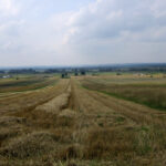 Projekt LIFE + "Ochrona cennych siedlisk przyrodniczych na Ponidziu" / Ewa Okońska / Radio Kielce