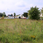 Ulica Klonowa / Kamil Król / Radio Kielce