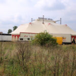 Ulica Klonowa / Kamil Król / Radio Kielce