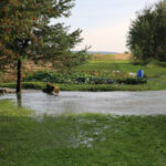 Nawałnica w Radlinie / Kamil Król / Radio Kielce