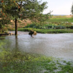 Nawałnica w Radlinie / Kamil Król / Radio Kielce