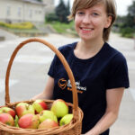 Młodzi Demokraci rozdawali jabłka w centrum Kielc / Wojciech Habdas / Radio Kielce