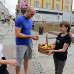 Młodzi Demokraci rozdawali jabłka w centrum Kielc / Wojciech Habdas / Radio Kielce