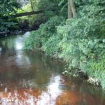 Świętokrzyskie na fali (12.08.2014) - Młynek Nieświński / Robert Felczak / Radio Kielce