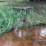 Świętokrzyskie na fali (12.08.2014) - Młynek Nieświński / Robert Felczak / Radio Kielce