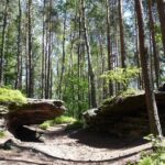 Świętokrzyskie na fali (12.08.2014) - Rezerwat Skałki Piekło pod Nekłaniem / Robert Felczak / Radio Kielce