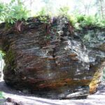 Świętokrzyskie na fali (12.08.2014) - Rezerwat Skałki Piekło pod Nekłaniem / Robert Felczak / Radio Kielce