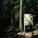 Świętokrzyskie na fali (12.08.2014) - Rezerwat Skałki Piekło pod Nekłaniem / Robert Felczak / Radio Kielce