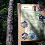 Świętokrzyskie na fali (12.08.2014) - Rezerwat Skałki Piekło pod Nekłaniem / Robert Felczak / Radio Kielce