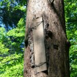 Świętokrzyskie na fali (12.08.2014) - Rezerwat Skałki Piekło pod Nekłaniem / Robert Felczak / Radio Kielce