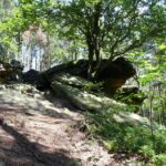 Robert Felczak / Radio Kielce