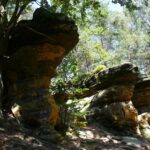 Świętokrzyskie na fali (12.08.2014) - Rezerwat Skałki Piekło pod Nekłaniem / Robert Felczak / Radio Kielce