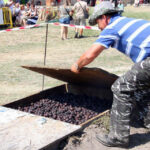 Święto śliwki w Szydłowie / Robert Felczak / Radio Kielce