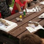 Piknik Geologiczny w kieleckim Geoparku (14 września 2014 r.) / Piotr Michalski / Radio Kielce