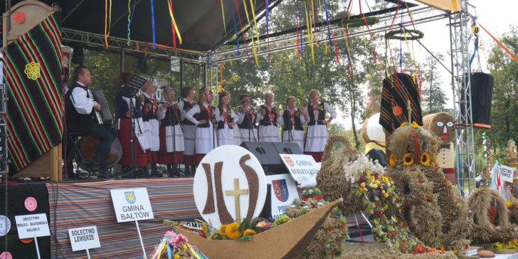 Dożynki w Bałtowie (7 września 2014 r.) / Teresa Czajkowska / Radio Kielce