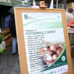 Święto leśników w Kielcach / Kamil Król / Radio Kielce