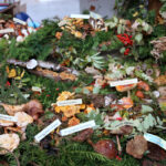 Święto leśników w Kielcach / Kamil Król / Radio Kielce