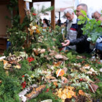 Święto leśników w Kielcach / Kamil Król / Radio Kielce