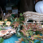 Święto leśników w Kielcach / Kamil Król / Radio Kielce