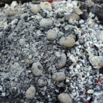 Święto ziemniaka w skansenie w Tokarni / Wojciech Habdas / Radio Kielce