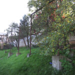 Boisko przy Szkole Podstawowej nr 34 w Kielcach (7 października 2014 r.) / Piotr Michalski / Radio Kielce