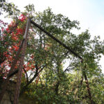 Boisko przy Szkole Podstawowej nr 34 w Kielcach (7 października 2014 r.) / Piotr Michalski / Radio Kielce