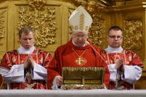 Biskup Kazimierz Ryczan oczami fotoreporterów (11 października 2014 r.) / Radio Kielce