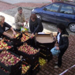 W Bilczy rozdawano jabłka / Renata Matejek