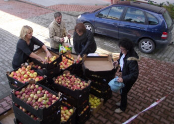 W Bilczy rozdawano jabłka / Renata Matejek